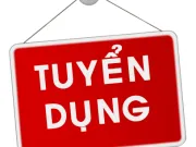 Thông tin tuyển dụng tháng 11/2024