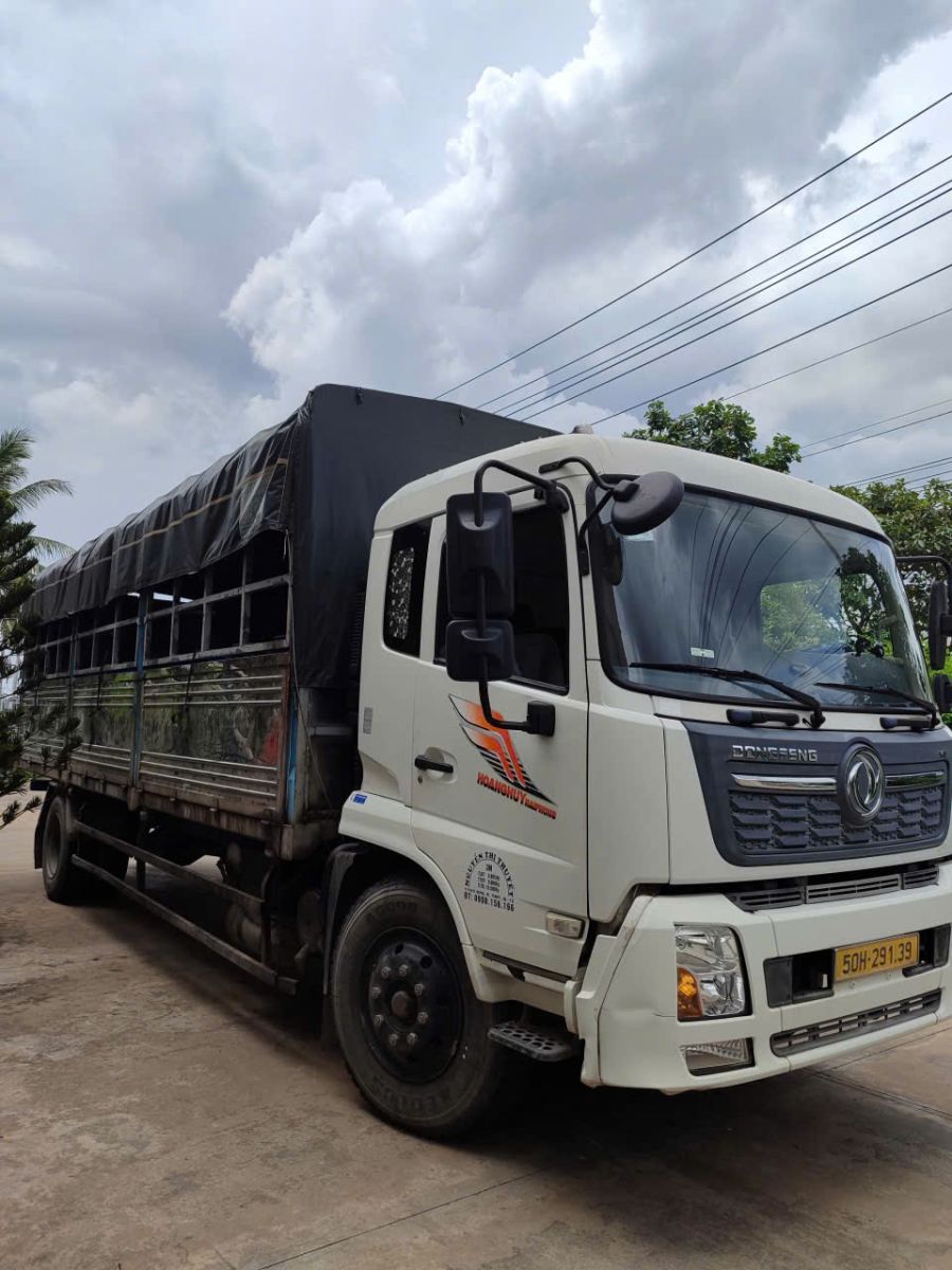 Vận chuyển dọn nhà uy tín Quận 12